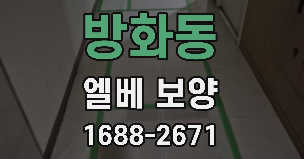 방화동 엘베 보양