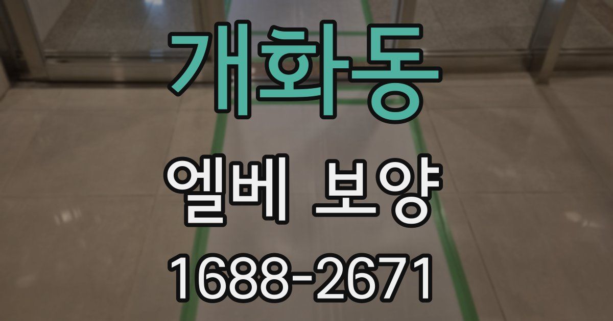 개화동 엘베 보양