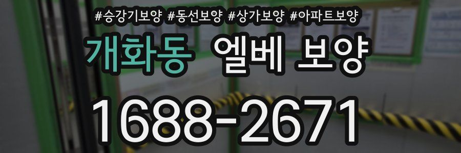 개화동 엘베 보양