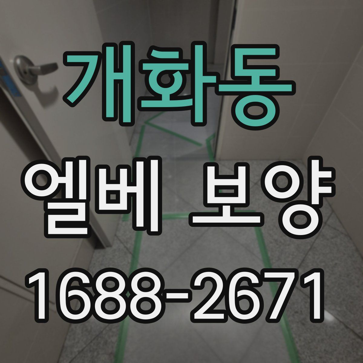 개화동 엘베 보양