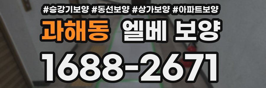 과해동 엘베 보양