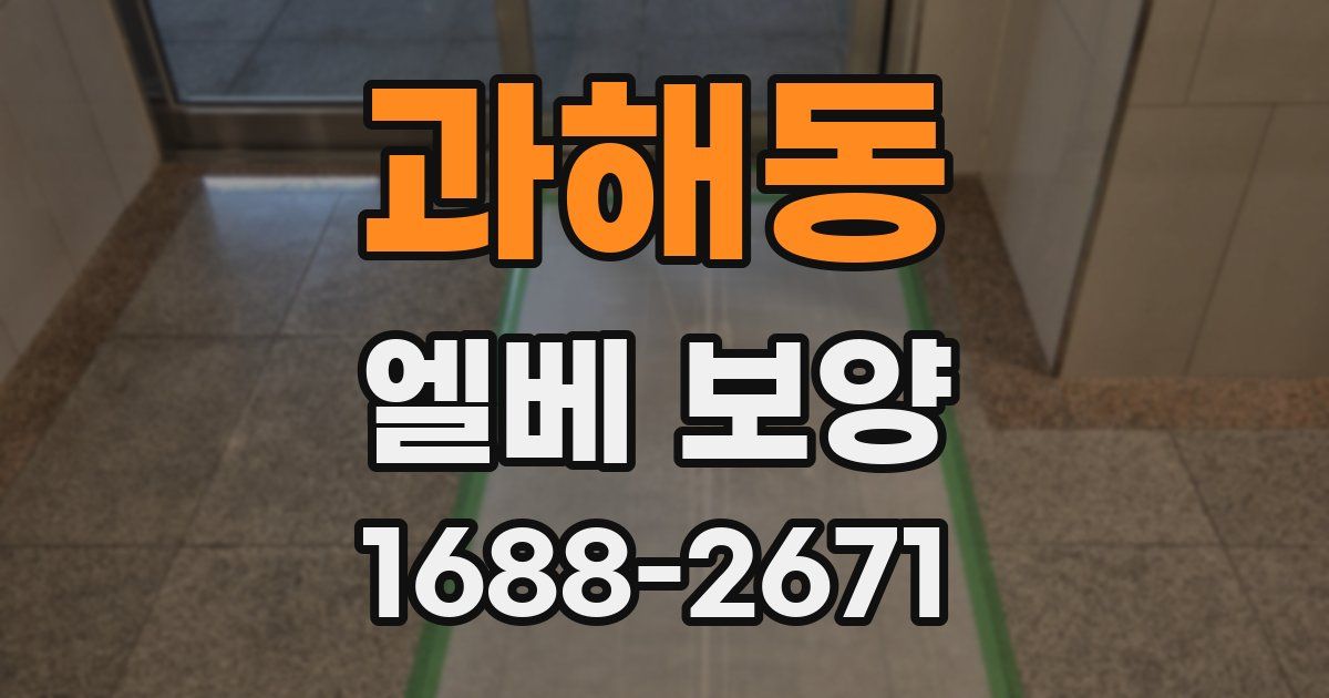 과해동 엘베 보양