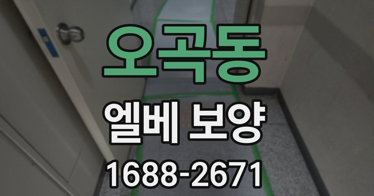오곡동 엘베 보양