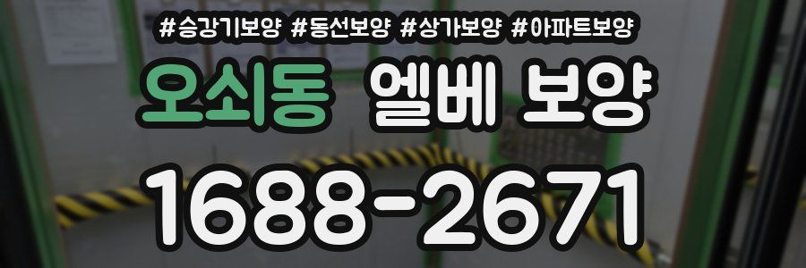 오쇠동 엘베 보양