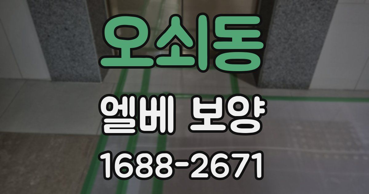 오쇠동 엘베 보양