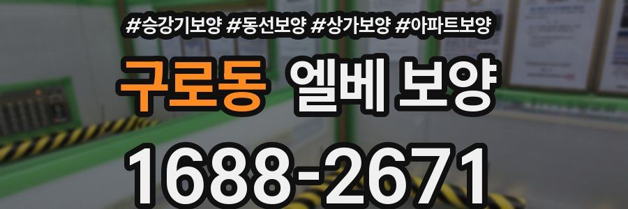 구로동 엘베 보양