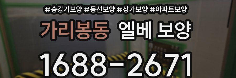 가리봉동 엘베 보양