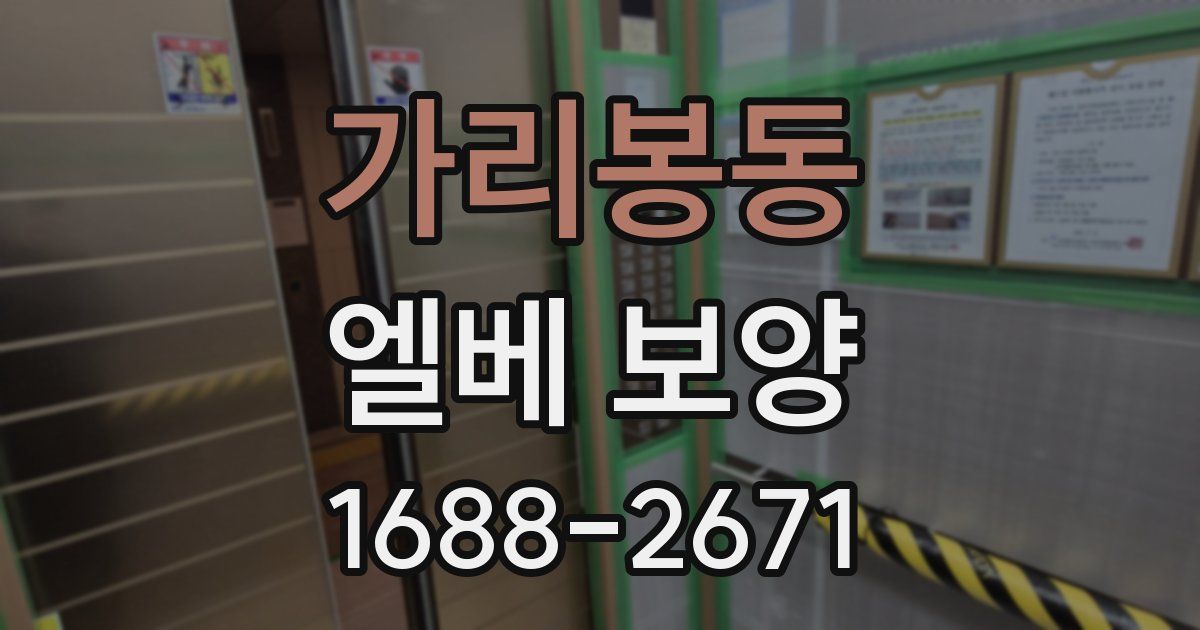 가리봉동 엘베 보양