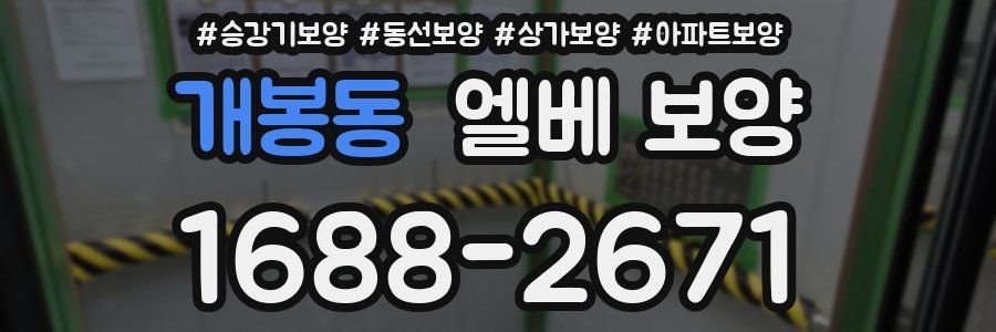 개봉동 엘베 보양