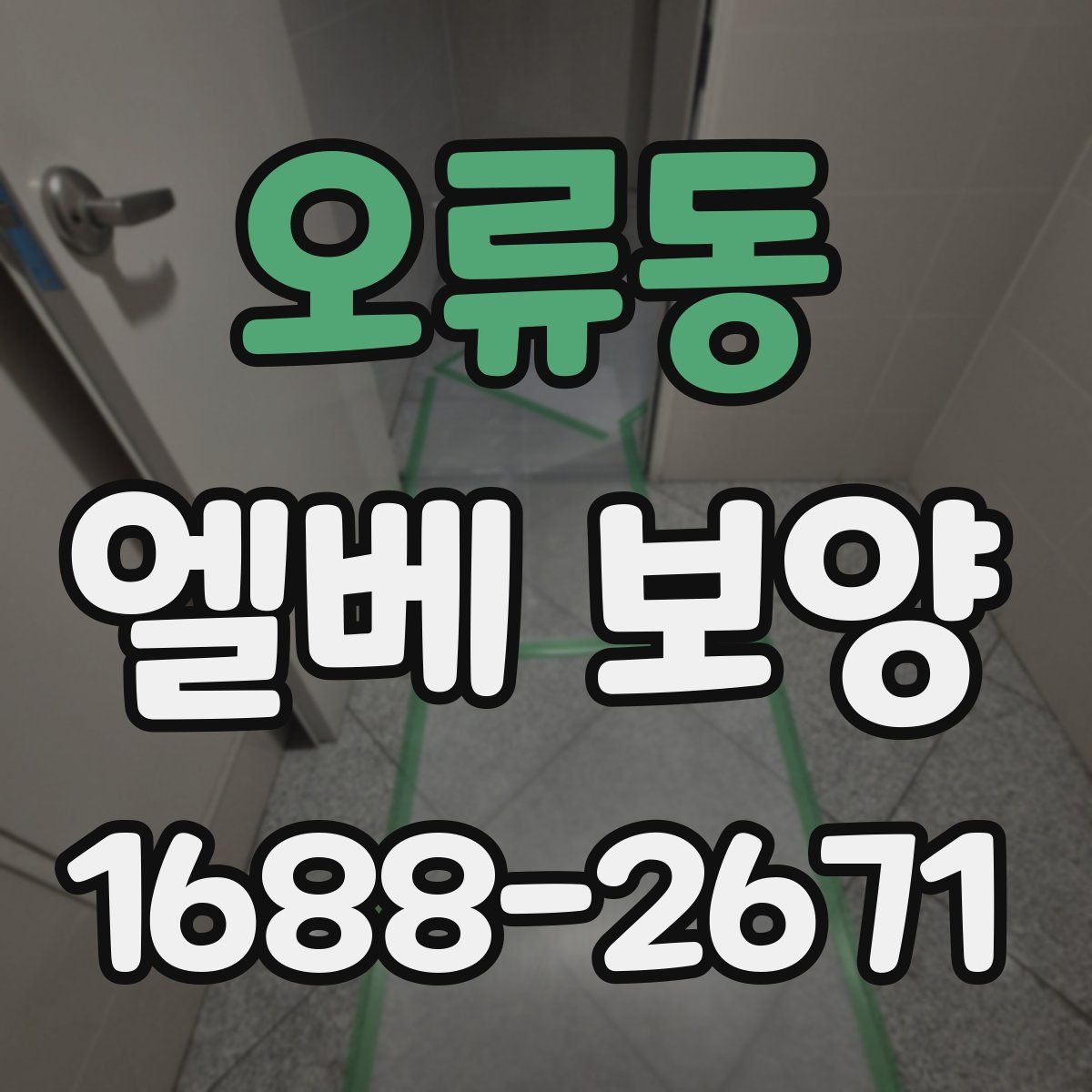 오류동 엘베 보양