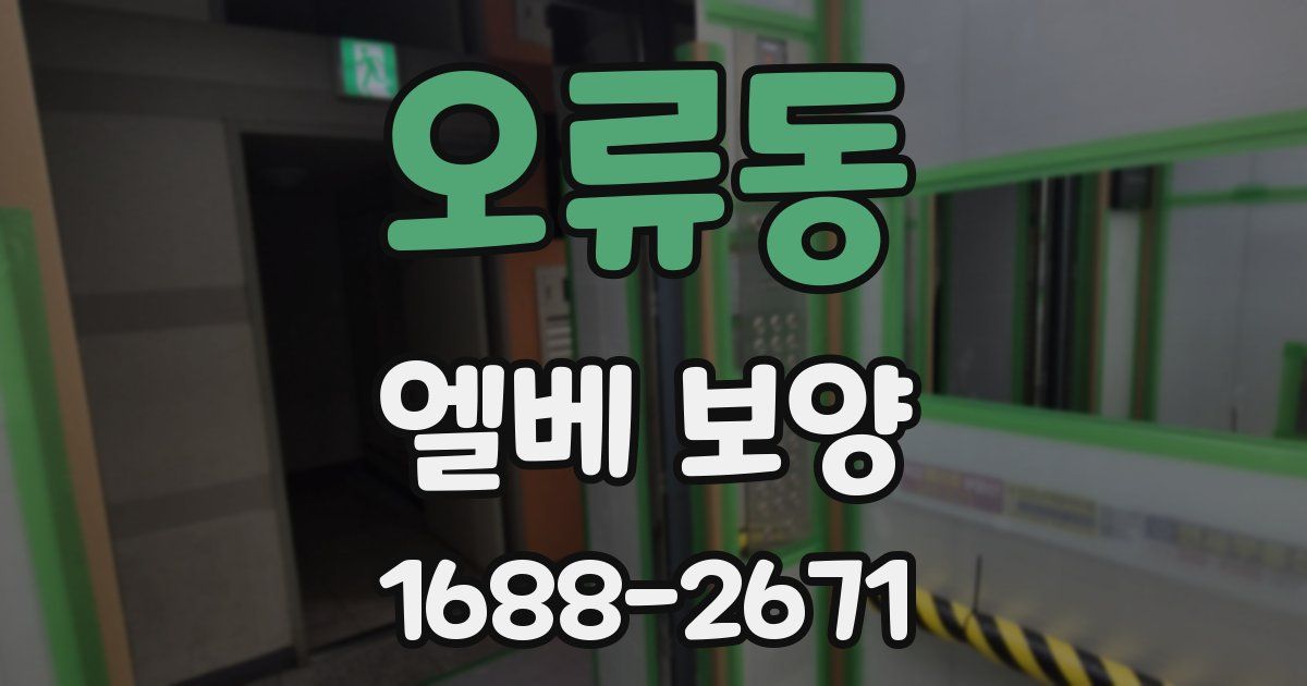 오류동 엘베 보양