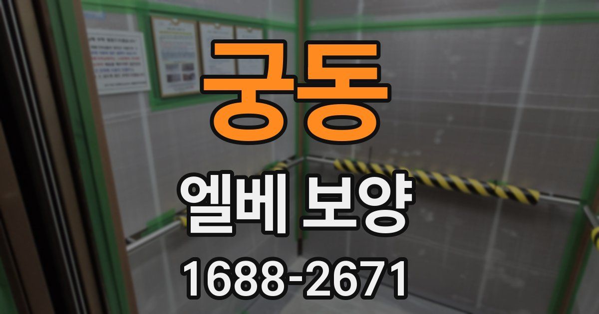 궁동 엘베 보양