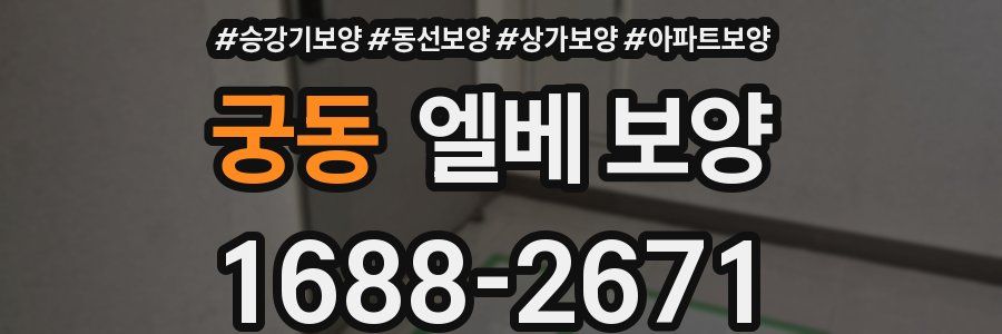 궁동 엘베 보양