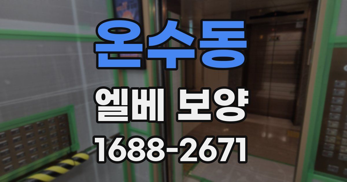 온수동 엘베 보양