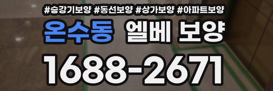 온수동 엘베 보양