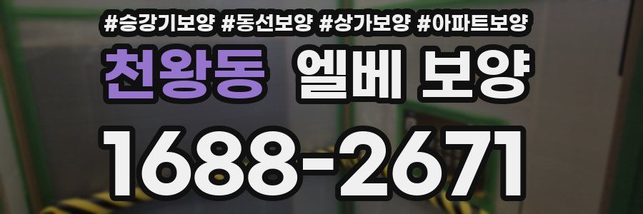 천왕동 엘베 보양