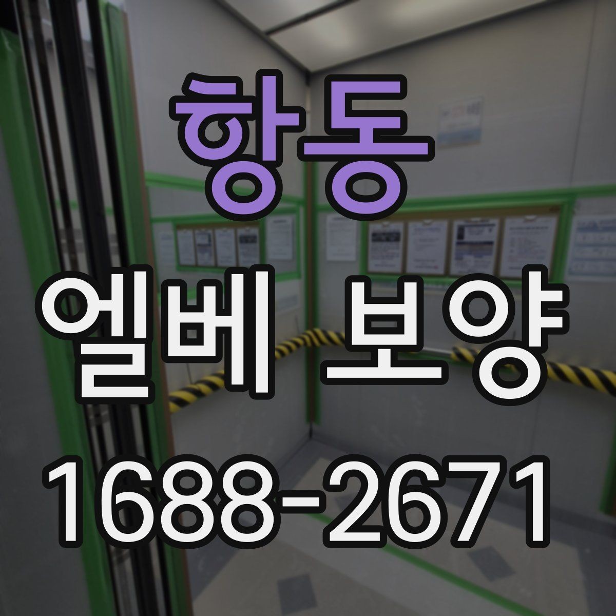 항동 엘베 보양 문 주변 손상 방지를 위한 확인 항목