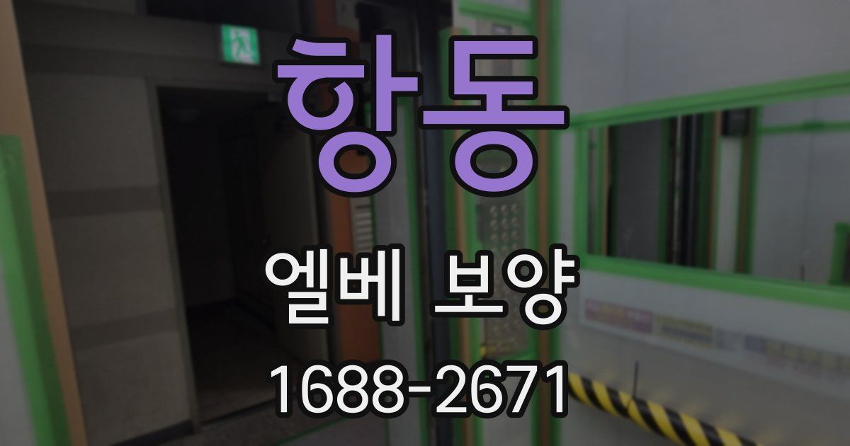 항동 엘베 보양