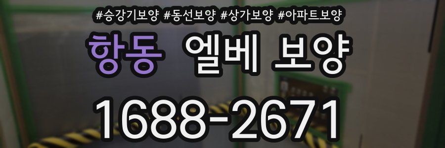 항동 엘베 보양