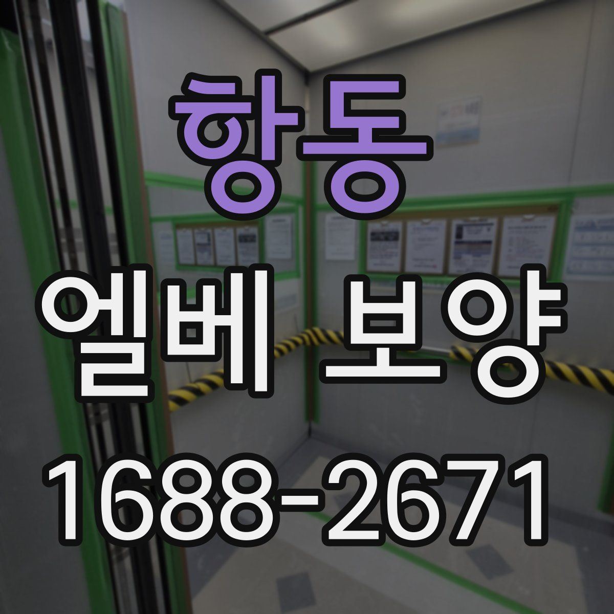 항동 엘베 보양
