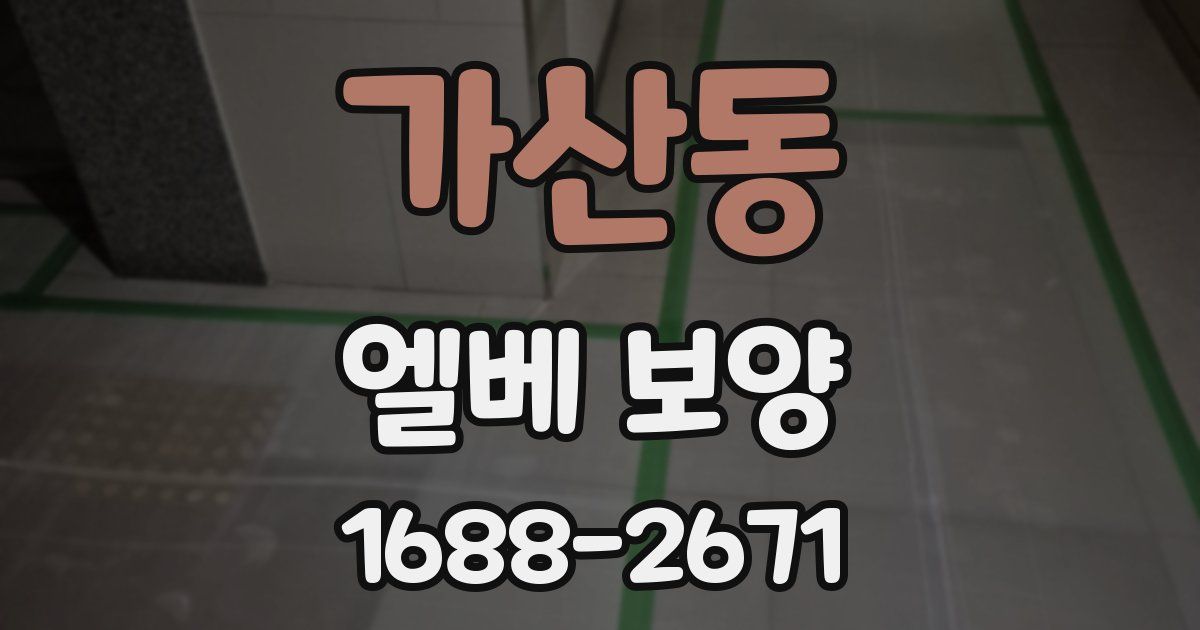 가산동 엘베 보양