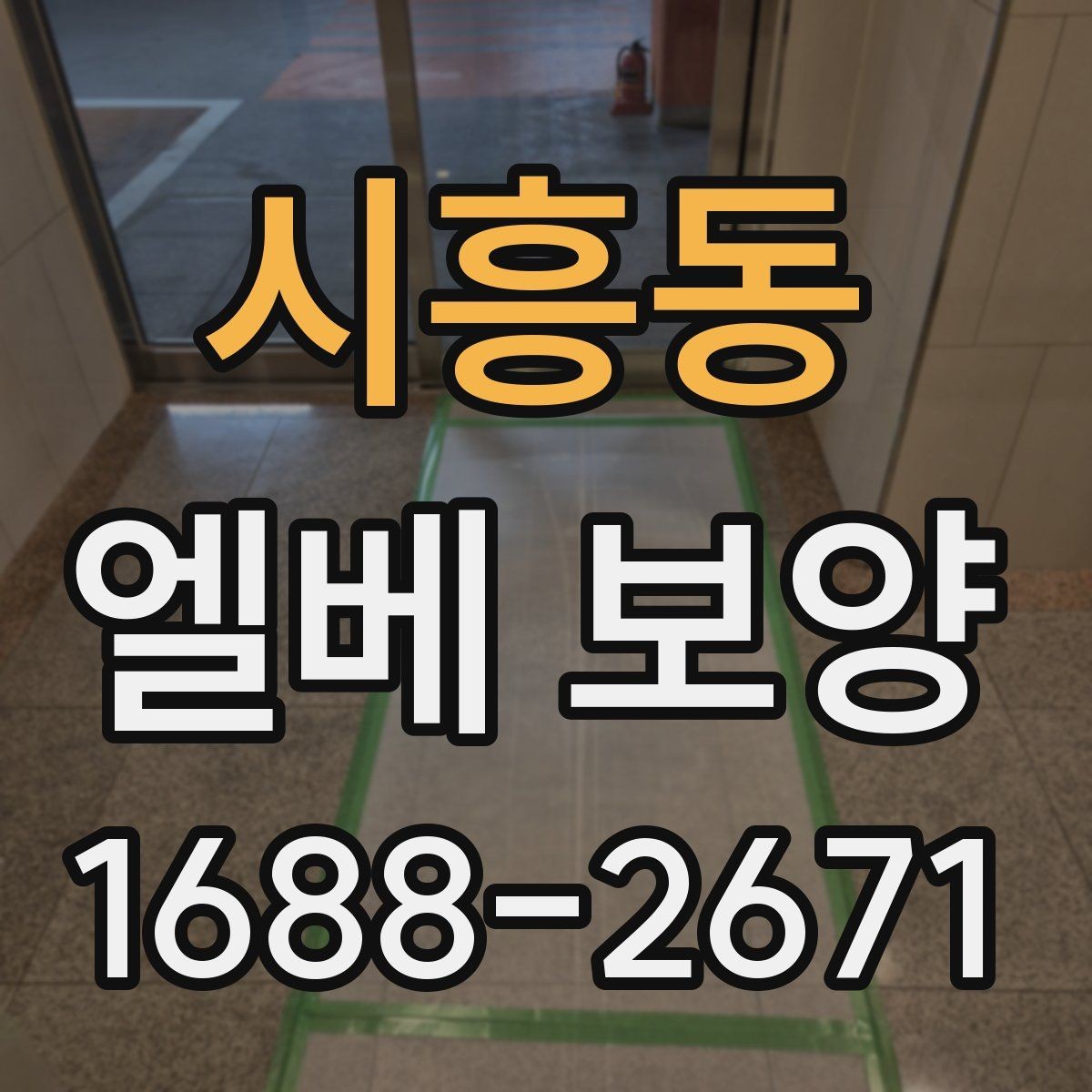 시흥동 엘베 보양 보양 사진 기록의 이유