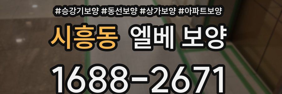 시흥동 엘베 보양