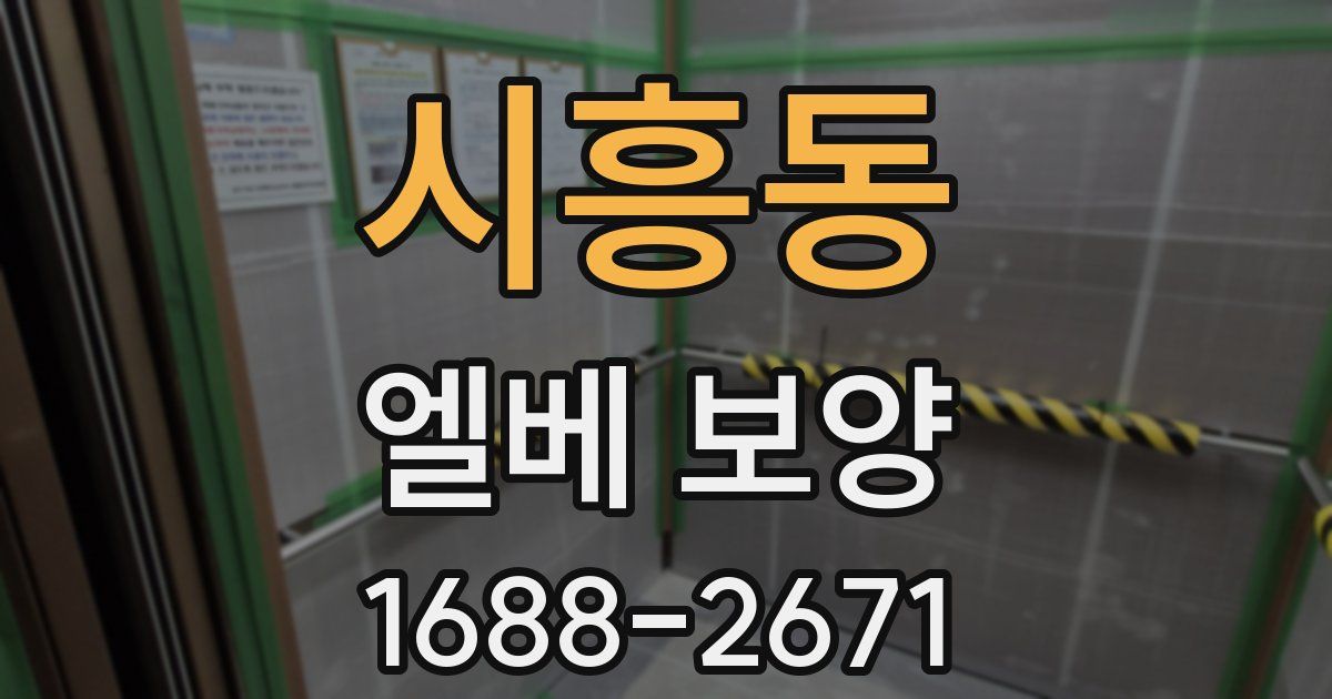 시흥동 엘베 보양