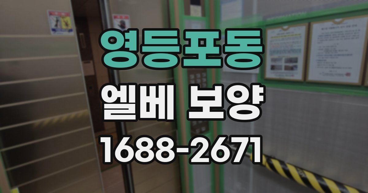 영등포동 엘베 보양