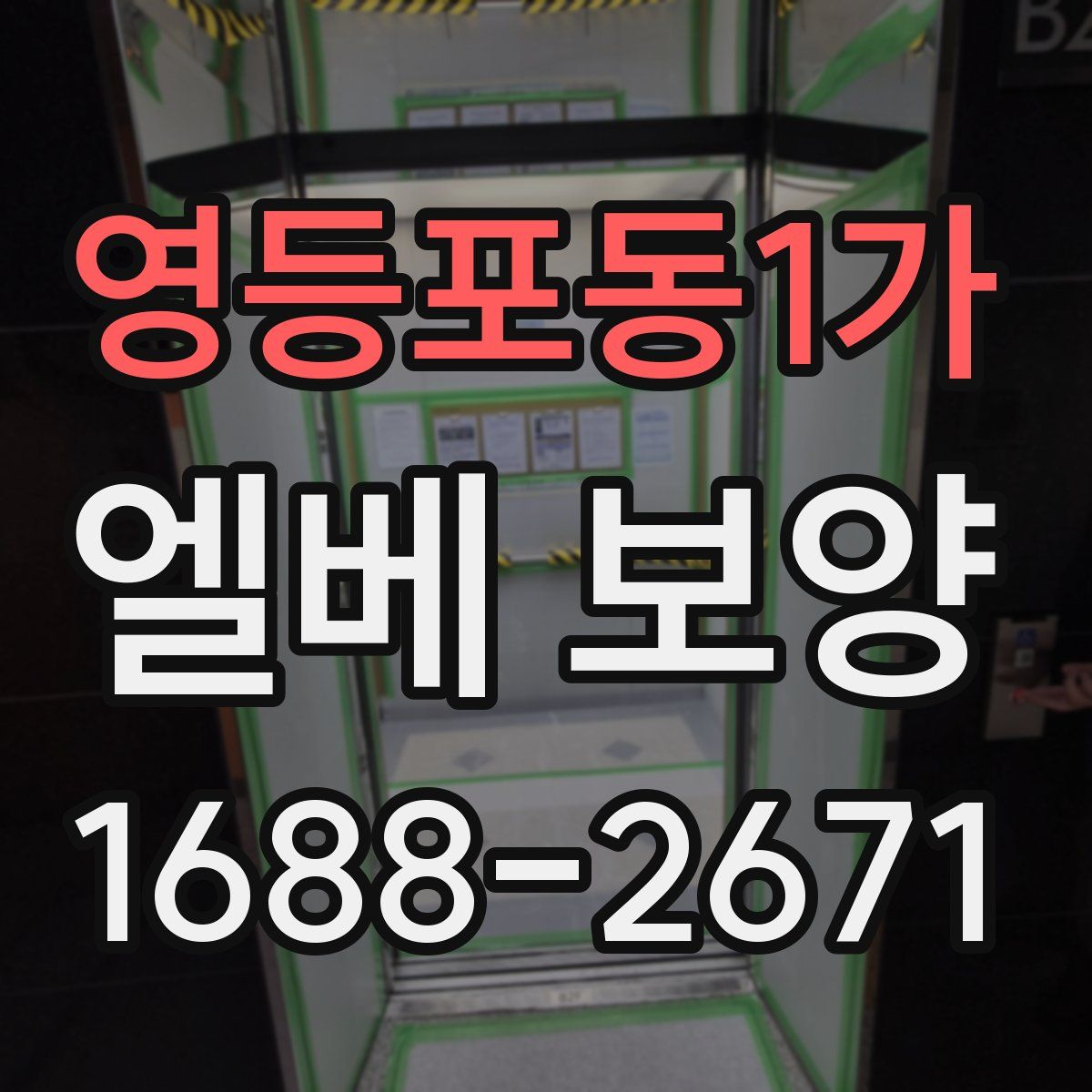 영등포동1가 엘베 보양