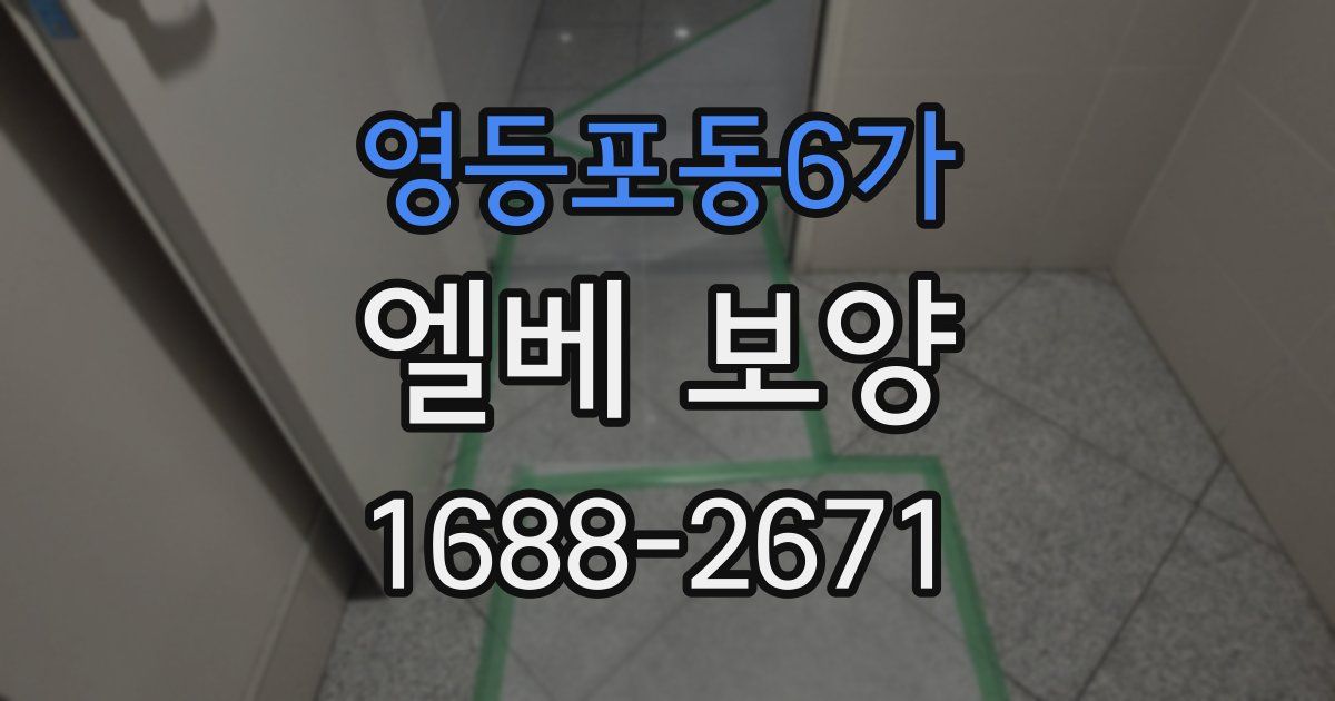 영등포동6가 엘베 보양