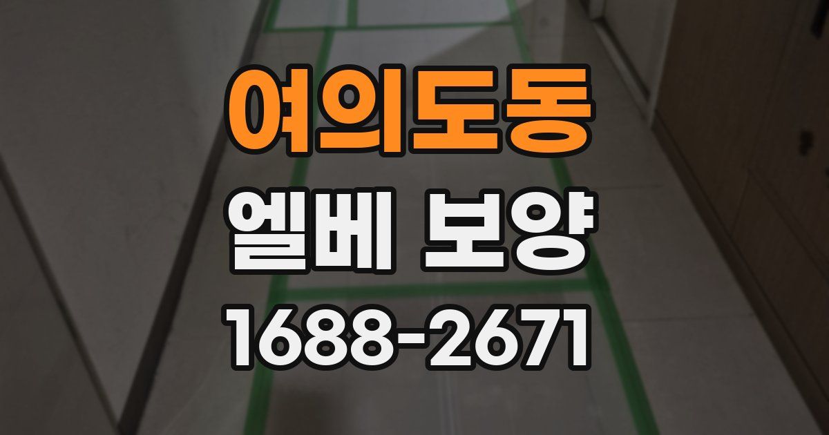 여의도동 엘베 보양