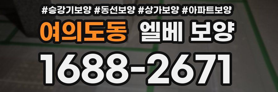 여의도동 엘베 보양