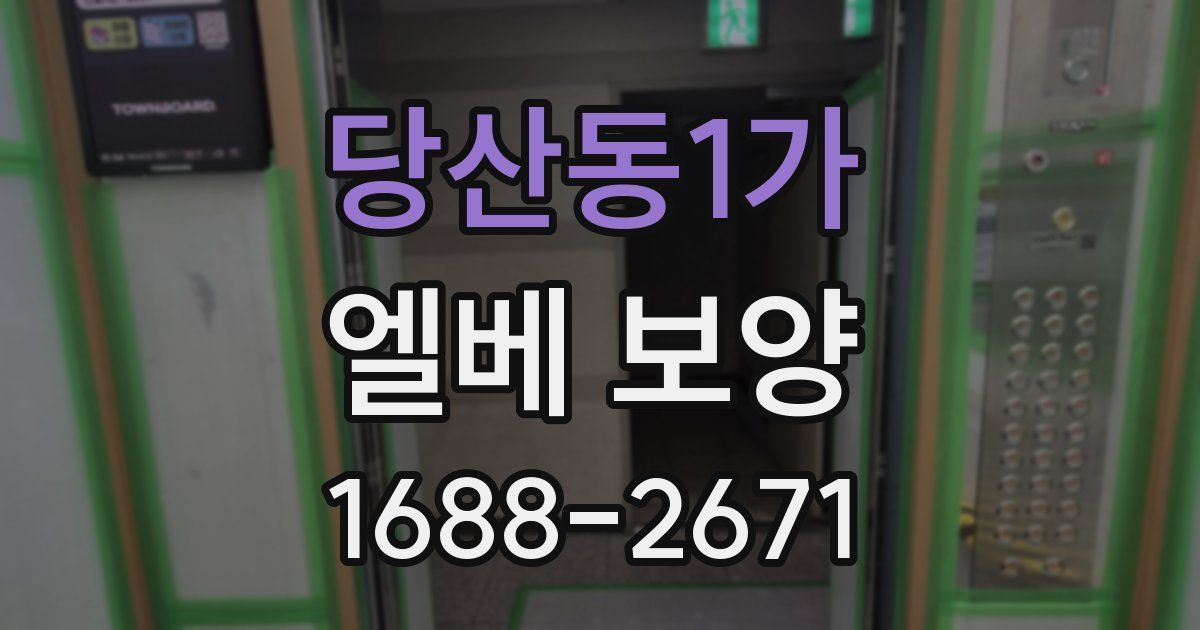 당산동1가 엘베 보양