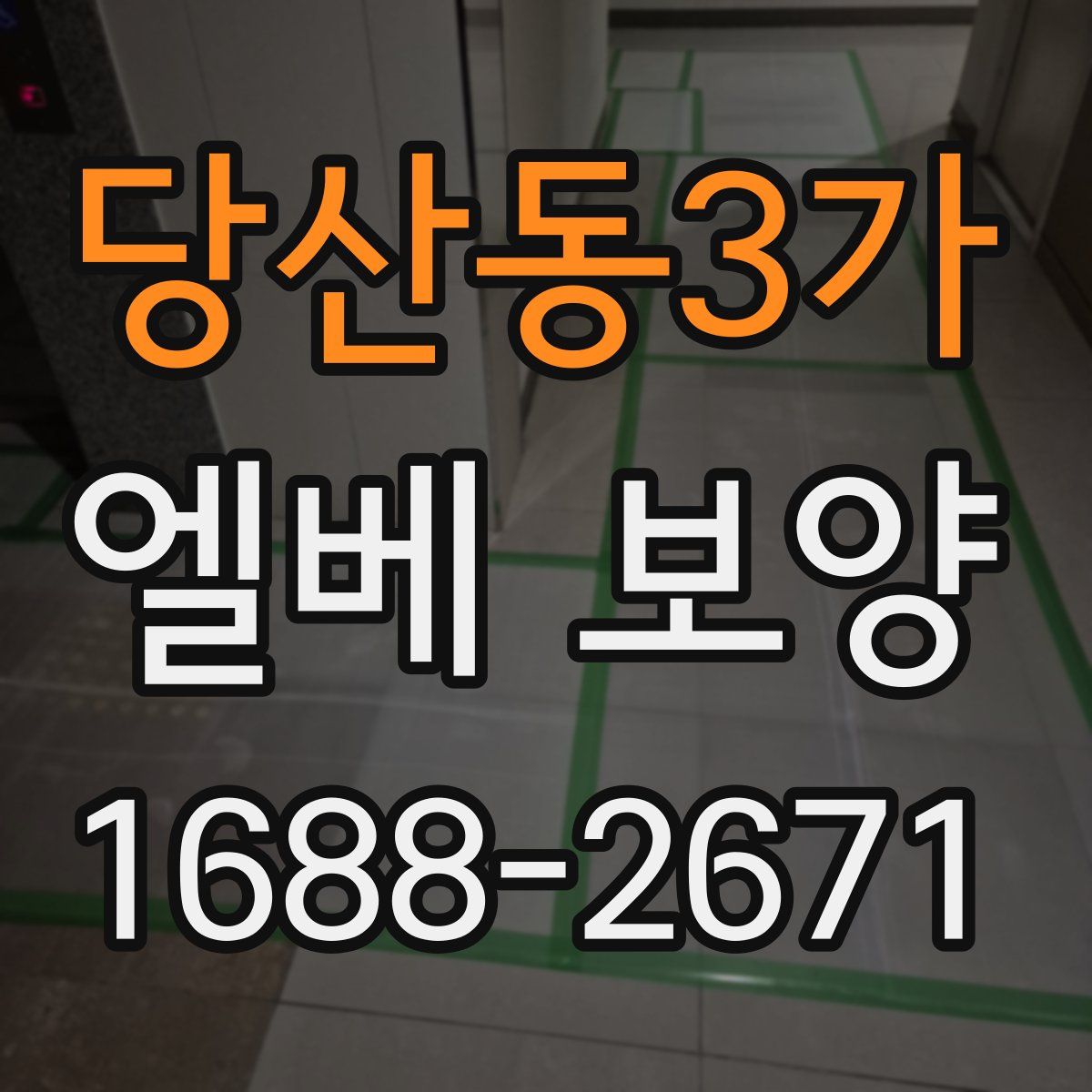 당산동3가 엘베 보양
