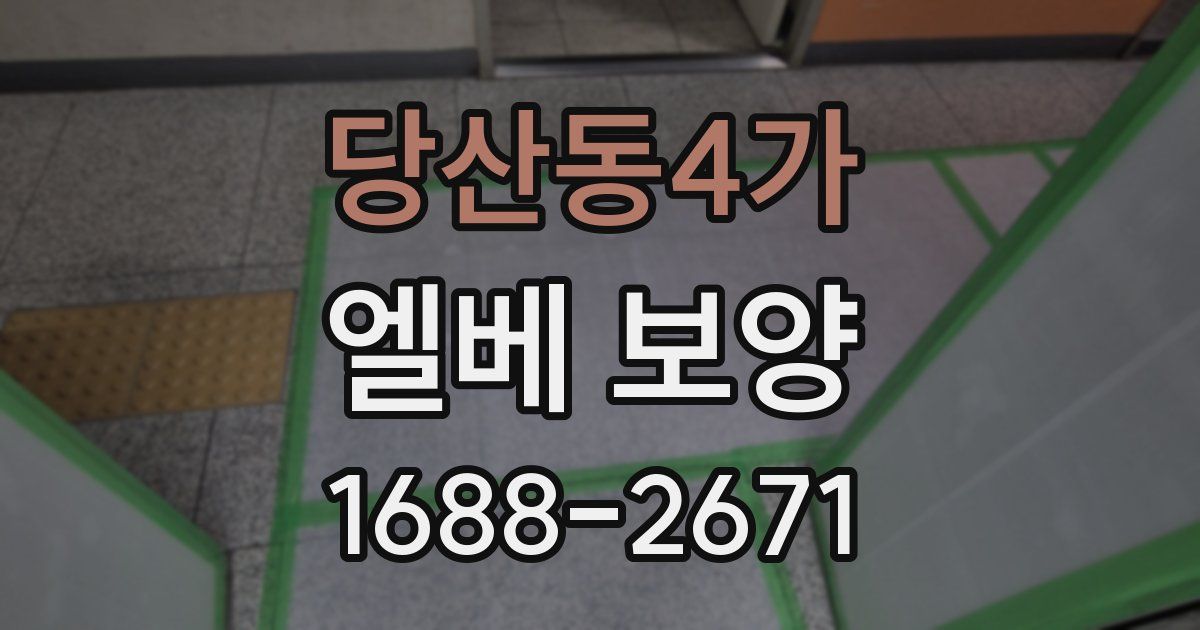 당산동4가 엘베 보양