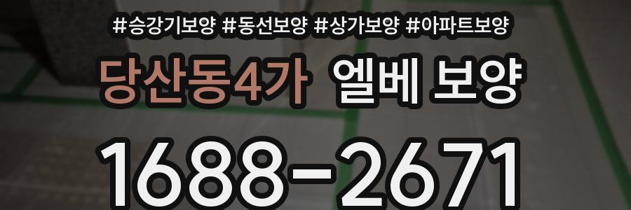 당산동4가 엘베 보양