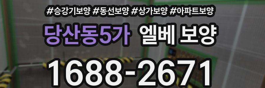 당산동5가 엘베 보양