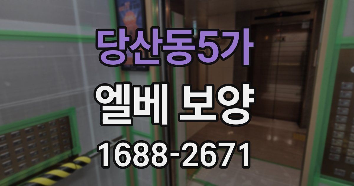 당산동5가 엘베 보양