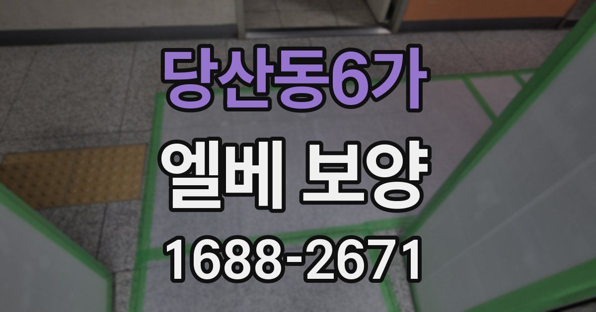 당산동6가 엘베 보양