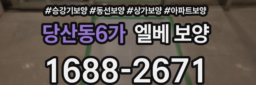 당산동6가 엘베 보양