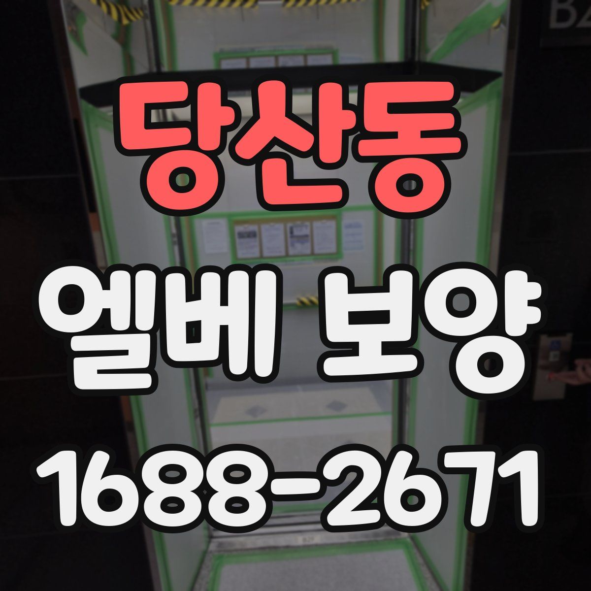 당산동 엘베 보양