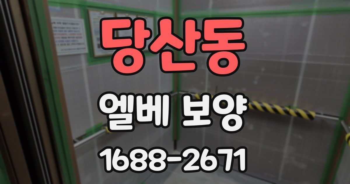 당산동 엘베 보양