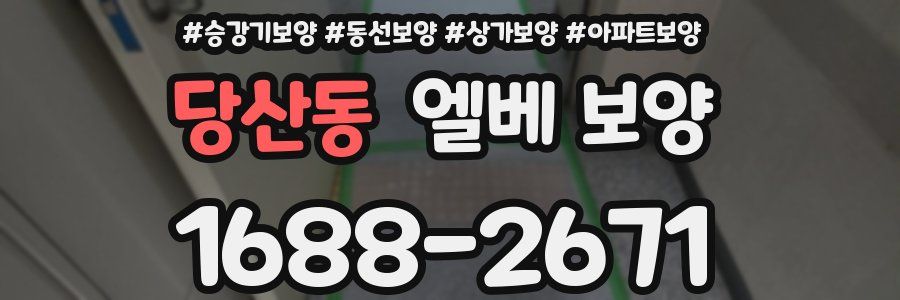 당산동 엘베 보양