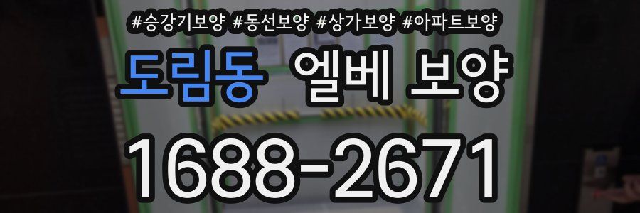 도림동 엘베 보양
