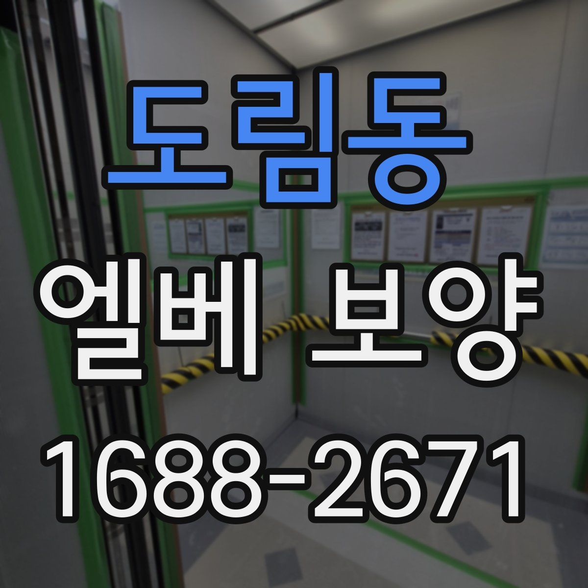 도림동 엘베 보양