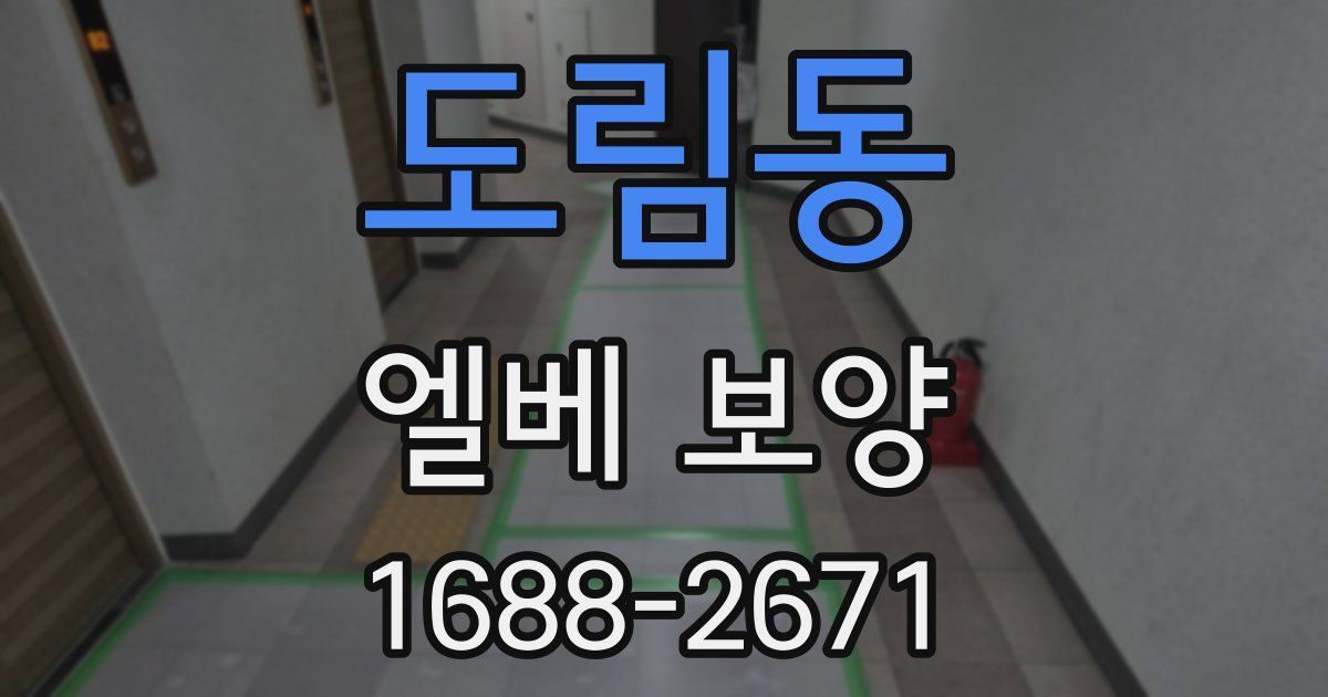 도림동 엘베 보양