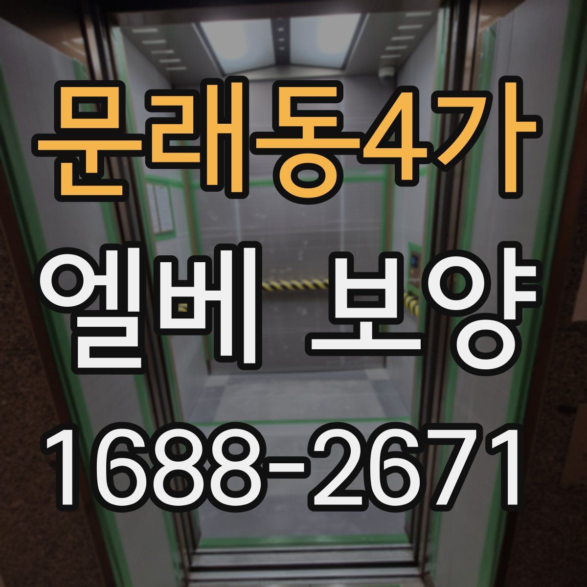 문래동4가 엘베 보양