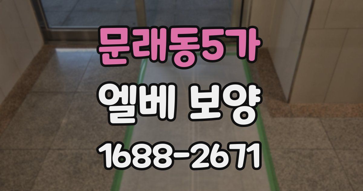 문래동5가 엘베 보양