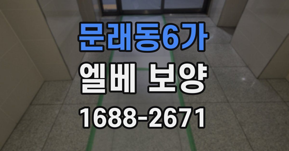 문래동6가 엘베 보양
